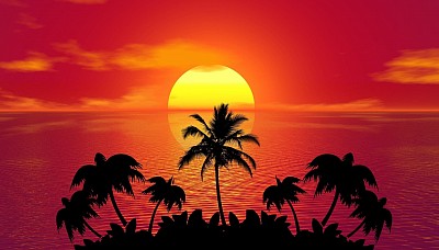 Pure sunshine!