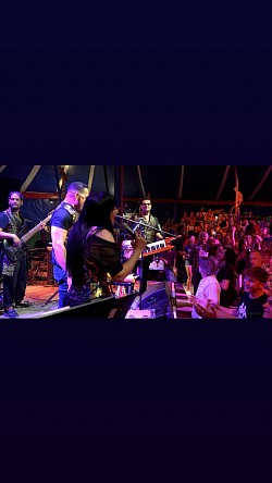 Tollwood